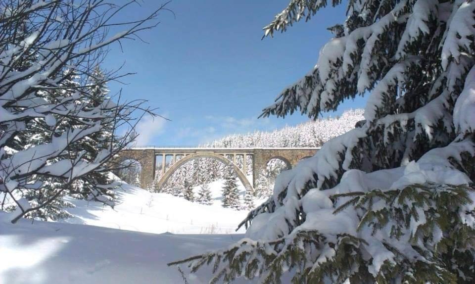 Vila Chalupky Pod Viaduktom Telgárt Exteriér fotografie